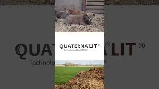 Miniature : 🌾 Fertilité des sols : la nouvelle innovation SOBAC avec QUATERNA liquide