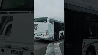 Miniature : Petit édit pour fêter le retour du 264 ! soby.tc #bus #pourtoi
