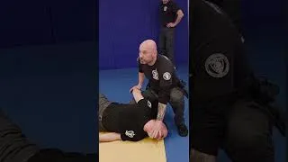 Miniature : retournement et contrôle #gendarmerie #pénitentiaire #police  #selfdefense #apprendrelejujitsu