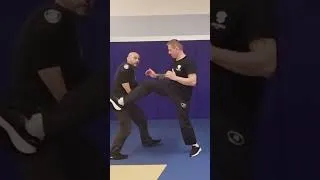 Miniature : défense et contrôle sur coup de pied de face #armée #police #gendarmerie #pénitentiaire #selfdefense
