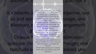 Miniature : Neuroplasticité : le cerveau peut-il vraiment changer ? | Vulgarisation #11neuroplasticité
