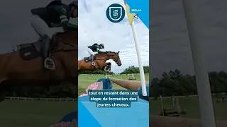 Miniature : #cce Construire un cross pour futurs chevaux olympiques, mais pas que ☝️#concourscomplet #chevaux