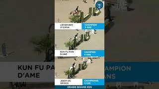 Miniature : #hunter Retour sur nos champions hunter poneys sacrés l'an dernier 🐴🇨🇵#shf #elevage #concours
