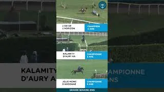 Miniature : #cce Nos champions de concours complet 2025 sur leurs derniers obstacles de cross 🏆🐴