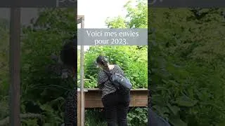 Miniature : Mes envies pour 2023 - #shorts