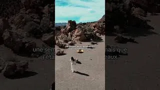 Miniature : j’étais dans l’ignorance total 🤣