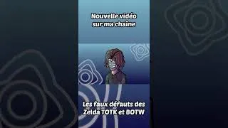 Miniature : Les armes qui se brisent dans TOTK et BOTW | Sola Flower