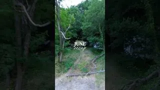 Miniature : Juin recap #campervan #vanlifediaries #vanaménagé #vanlife #vanlifetravel #saisonnier