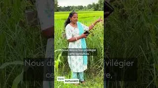 Miniature : Voix Paysanne - Une agriculture saine et rémunératrice par Anju