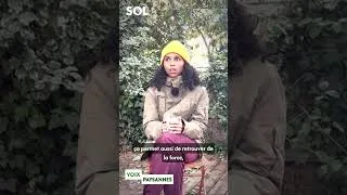 Miniature : Voix Paysanne - Préserver l'autonomie alimentaire au Liban avec Yasmine