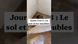 Miniature : Jours 2 et 3 : On enlève les meubles et on retire le sol ! 🐢 #renovation #humour #nettoyage #studio