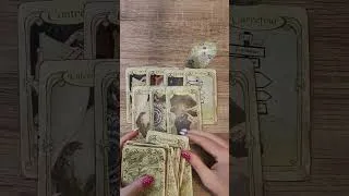 Miniature : Si tu vois une libellule, écoute bien ce message #message#intuition#tarot #shorts #guidance#voyance