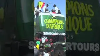 Miniature : CHAMPION D'AFRIQUE