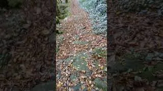 Miniature : 👉 Chemin de cailloux rudimentaire.