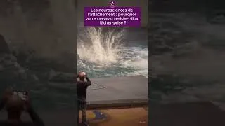 Miniature : Pourquoi est-il si difficile de lâcher prise, même lorsque l'on sait que c'est ce qu'il faudrait fai