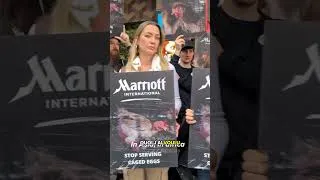 Miniature : Sous la coquille : ce que Marriott veut vous cacher