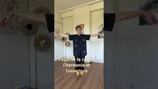 Miniature : La Stabilité du corps ancre le calme de l’esprit grâce à ce mouvement de Qi Gong