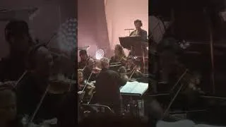 Miniature : Thylacine - Verdi Live Festival Days Off @Philharmonie de Paris | 07/07/2023