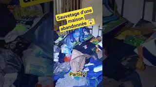 Miniature : Mission dératisation : catastrophe intérieure domicile en détresse.... #dératisation #rongeurs