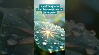 Miniature : 💫 Le calme que tu cherches n’est pas là où tu regardes.