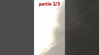 Miniature : partie 2/3
