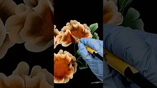 Miniature : Fleurs orangées raffinées au pinceau biseauté 🌺 🖌