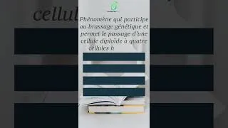 Miniature : Quick Quiz: Génétique