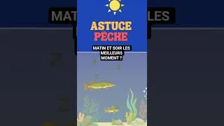 Miniature : Pourquoi les poissons sont plus actifs le matin et le soir ? #fishing #fish #astuces #shorts