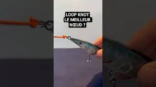 Miniature : Loop Knot – simple et efficace #fishing #passionpêche #knot