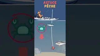 Miniature : Aujourd’hui, on vous emmène découvrir la pêche de la dorade royale au crabe #shorts #viral #astuces