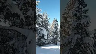 Miniature : Randonnées en raquettes à la station de ski Tuixent en Catalogne en Espagne - Ep 2