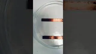 Miniature : Visualiser les lignes d'un champ électrique parallèle