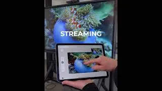 Miniature : Des innovations inédites : l'écran Speechi révolutionne l'EdTech avec plus de 7 nouvelles features