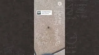 Miniature : Interstellar fly