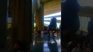 Miniature : Japan 2  #therian #viral #therianthropy #trending #quadrobics #chill #Jumps