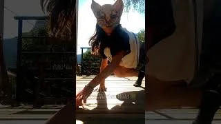 Miniature : Slow  #therian #viral #therianthropy #quadrobics #trending #chill #viralvideo