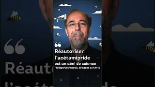 Miniature : Pourquoi le chercheur Philippe Grandcolas juge dangereux le retour de l'acétamipride #shorts