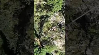 Miniature : Saut sur l’Artuby gorges du verdon -27 juillet 2025