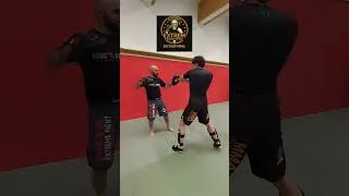 Miniature : MMA coaching
