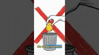 Miniature : Ne jetez plus vos jaunes d'œufs ! Voilà pourquoi ils sont essentiels