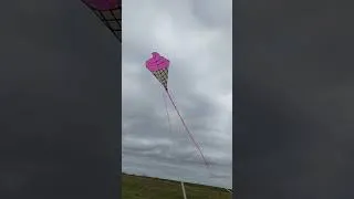 Miniature : 1er vol cerf-volant Glace Fraise