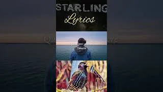 Miniature : Et si tu sens - Grégory Lemarchal (Lyrics) sur ma chaîne Paroles d'étourneau @StarlingLyrics
