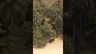Miniature : Ce paradis guinéen cache une histoire fascinante.