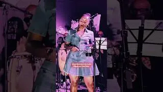 Miniature : Steel Groove Live Lyon _ Rêve d’enfance #steelgroovekonpa #konpa #revedenfancelive