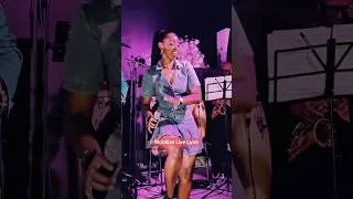 Miniature : Steel Groove Live _ Mobilize #steelgroovekonpa #konpa #mobilizelive