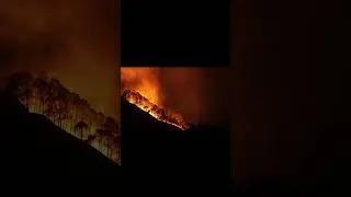 Miniature : La planète s’effondre sous nos yeux | Crise climatique