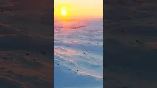 Miniature : Aventure en montagne : du sang, des larmes… et une vérité au bout du monde ❄️