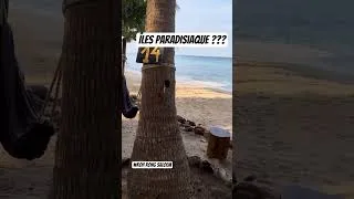 Miniature : DECEPTION #kohrongisland #Cambodge #overlanding #découverte #aventure #voyageen4x4