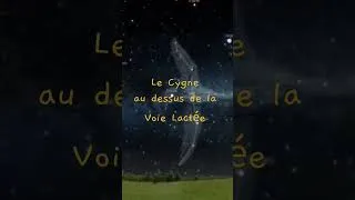 Miniature : Le Cygne  Musique "Le Lac des Cygnes" in C-Sharp major, Op. 20 : acte III. Allegro guisto