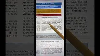 Miniature : Histoire et mémoire (HGGSP Terminale)